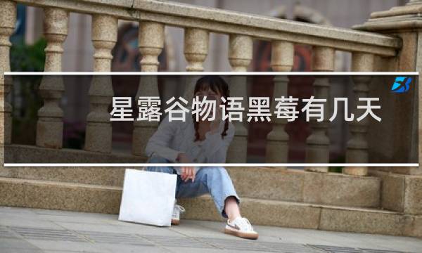 星露谷物语黑莓有几天
