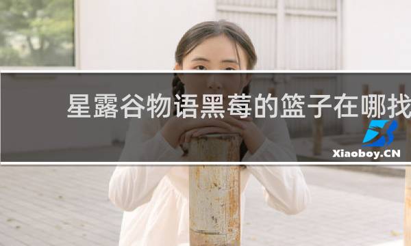 星露谷物语黑莓的篮子在哪找