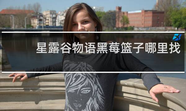 星露谷物语黑莓篮子哪里找