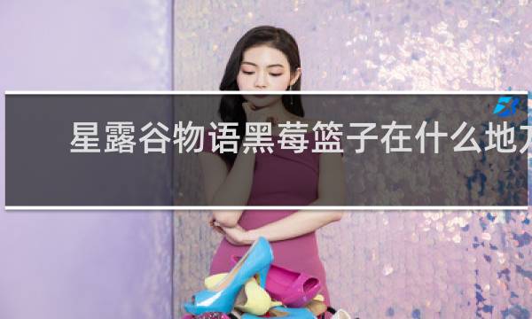 星露谷物语黑莓篮子在什么地方