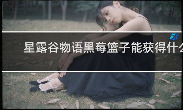 星露谷物语黑莓篮子能获得什么