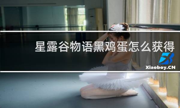 星露谷物语黑鸡蛋怎么获得