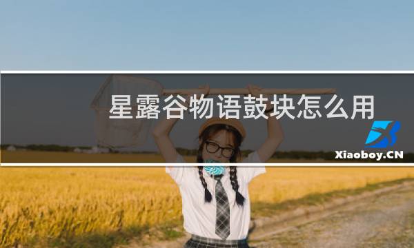 星露谷物语鼓块怎么用