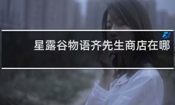 星露谷物语齐先生商店在哪