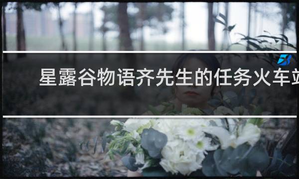 星露谷物语齐先生的任务火车站