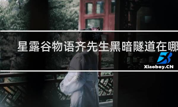星露谷物语齐先生黑暗隧道在哪里