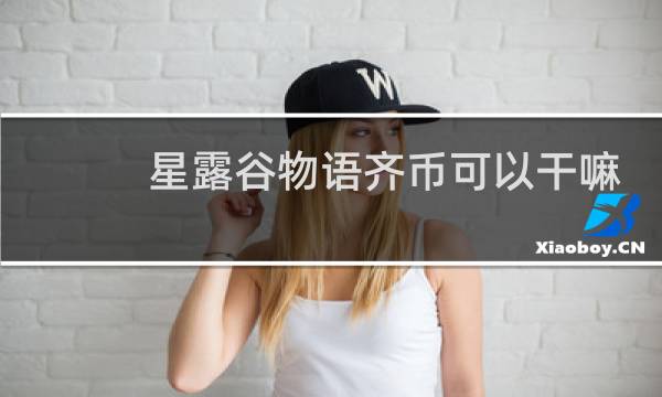 星露谷物语齐币可以干嘛