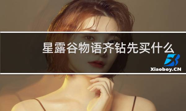 星露谷物语齐钻先买什么
