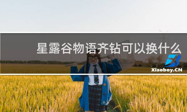 星露谷物语齐钻可以换什么