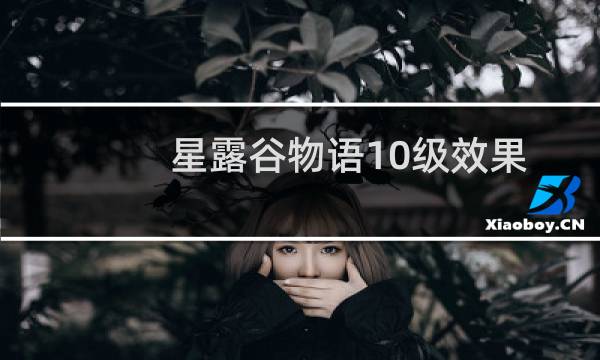 星露谷物语10级效果