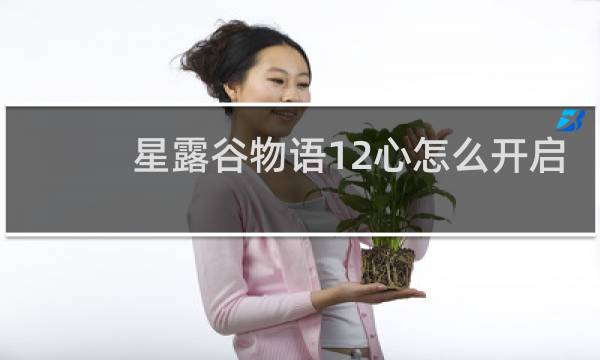 星露谷物语12心怎么开启