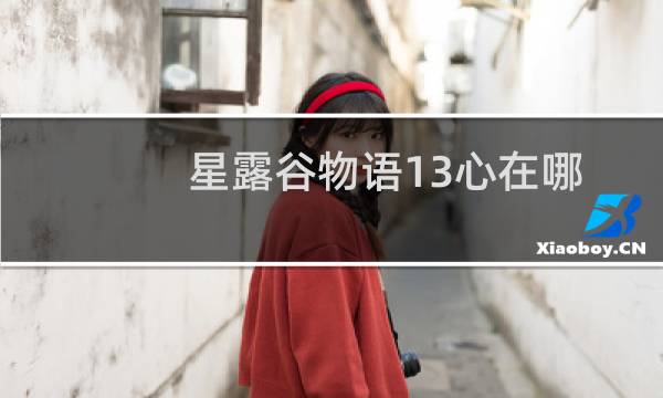 星露谷物语13心在哪
