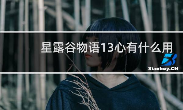 星露谷物语13心有什么用