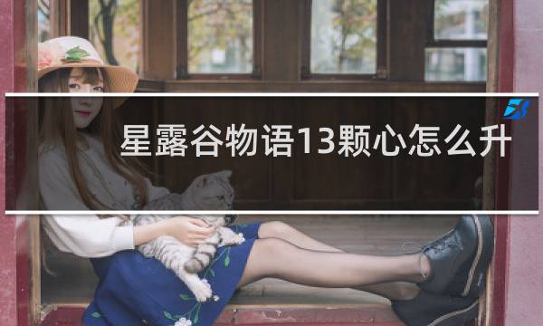 星露谷物语13颗心怎么升