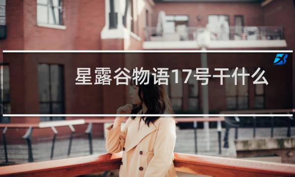 星露谷物语17号干什么