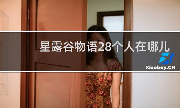 星露谷物语28个人在哪儿