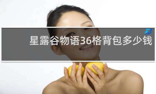 星露谷物语36格背包多少钱