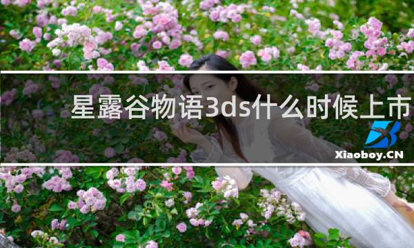 星露谷物语3ds什么时候上市