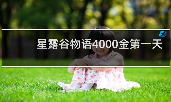 星露谷物语4000金第一天