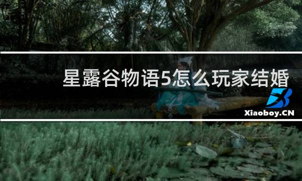 星露谷物语5怎么玩家结婚