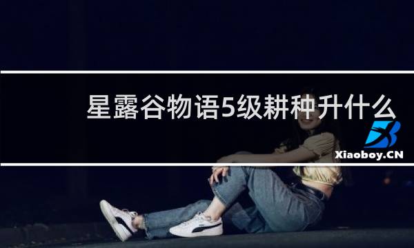 星露谷物语5级耕种升什么