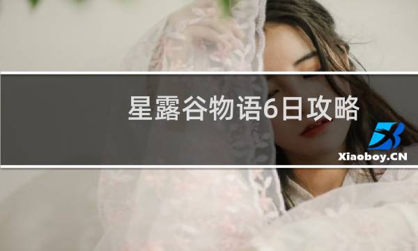 星露谷物语6日攻略