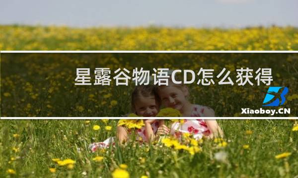 星露谷物语CD怎么获得
