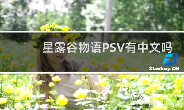 星露谷物语PSV有中文吗