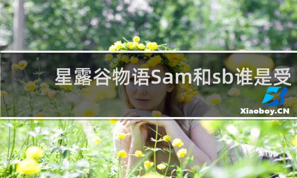 星露谷物语Sam和sb谁是受