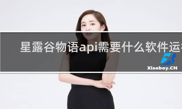 星露谷物语api需要什么软件运行
