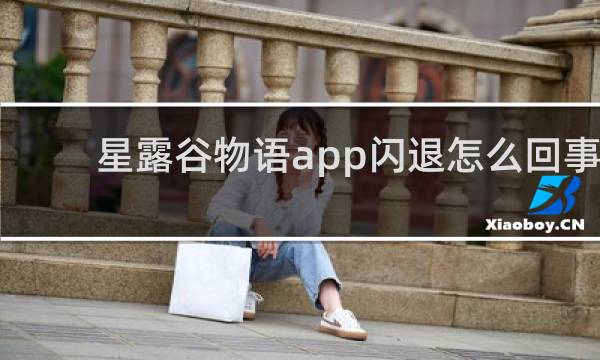 星露谷物语app闪退怎么回事