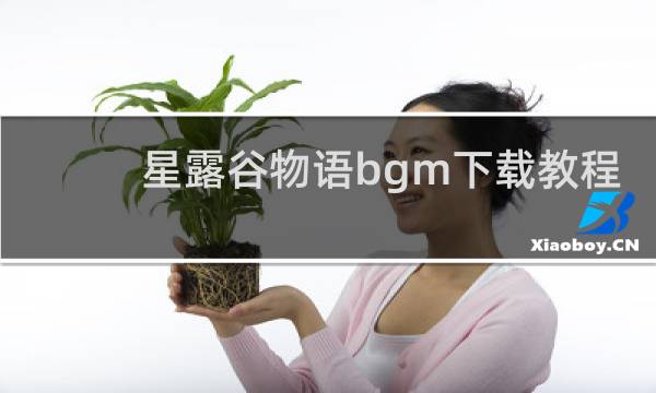 星露谷物语bgm下载教程