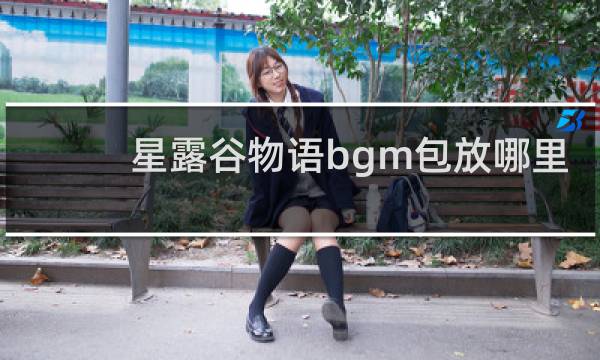 星露谷物语bgm包放哪里