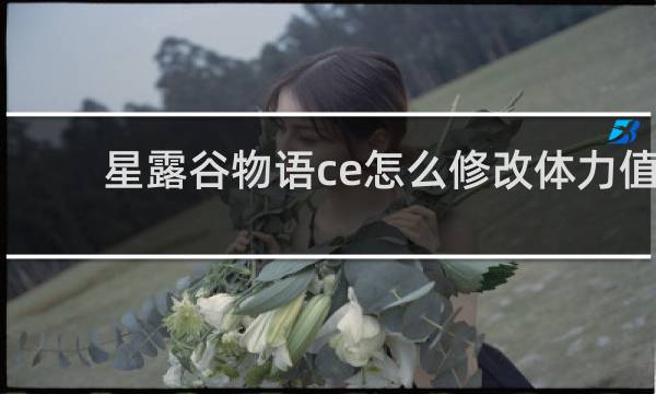 星露谷物语ce怎么修改体力值