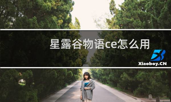 星露谷物语ce怎么用