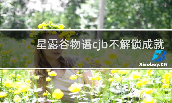 星露谷物语cjb不解锁成就