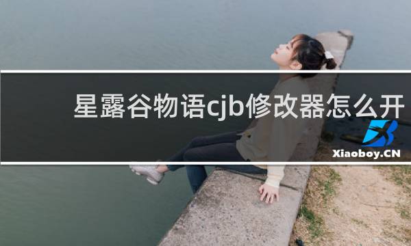 星露谷物语cjb修改器怎么开