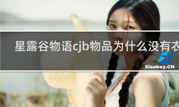 星露谷物语cjb物品为什么没有衣服