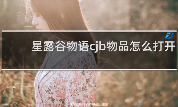 星露谷物语cjb物品怎么打开