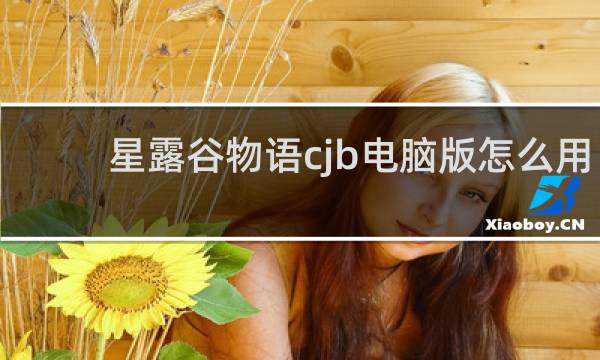星露谷物语cjb电脑版怎么用