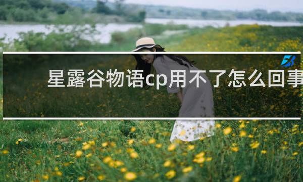 星露谷物语cp用不了怎么回事