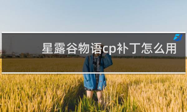 星露谷物语cp补丁怎么用