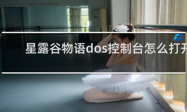 星露谷物语dos控制台怎么打开