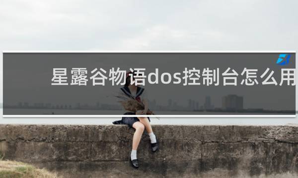 星露谷物语dos控制台怎么用