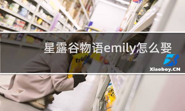 星露谷物语emily怎么娶