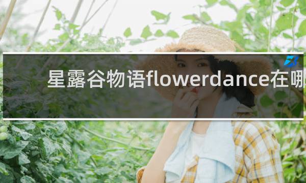 星露谷物语flowerdance在哪