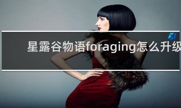 星露谷物语foraging怎么升级