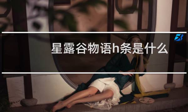 星露谷物语h条是什么
