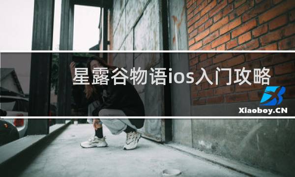 星露谷物语ios入门攻略