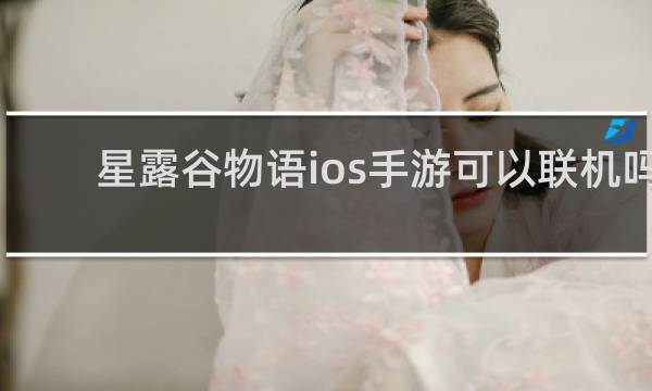 星露谷物语ios手游可以联机吗